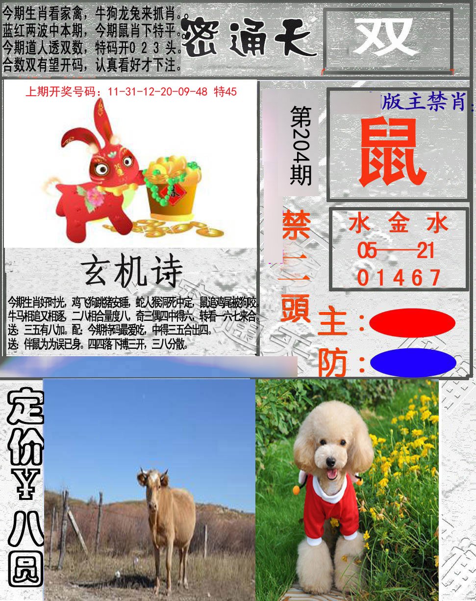 2024204期密通天