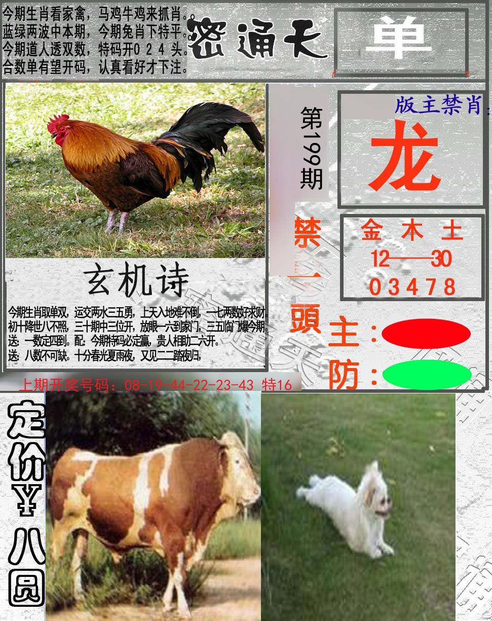 2024199期密通天
