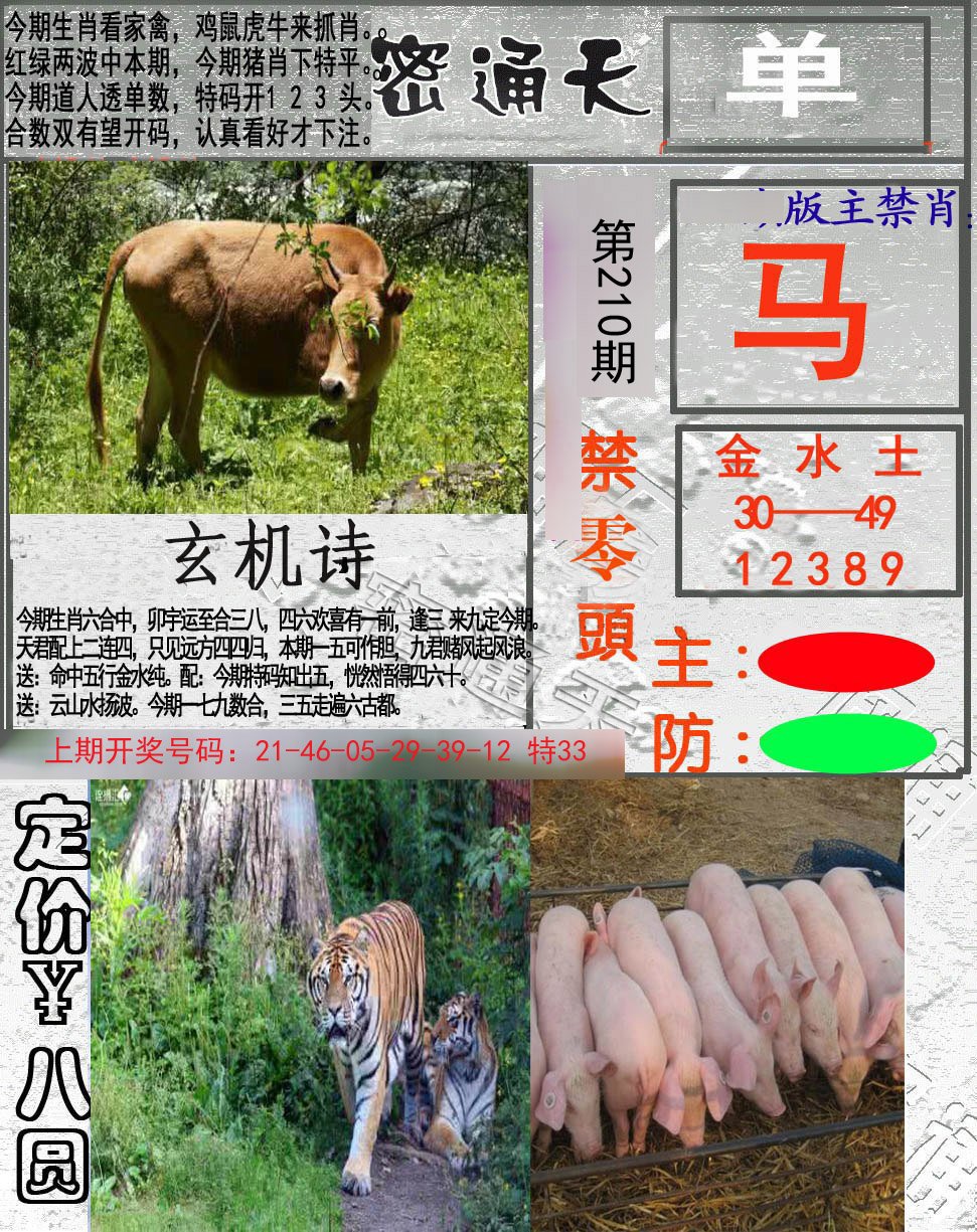 2024210期密通天