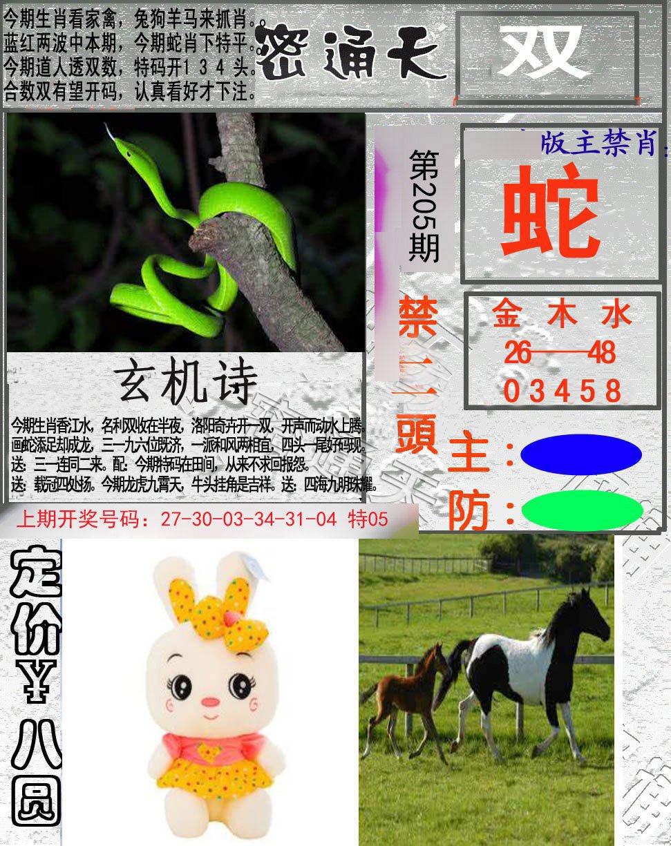 2024205期密通天