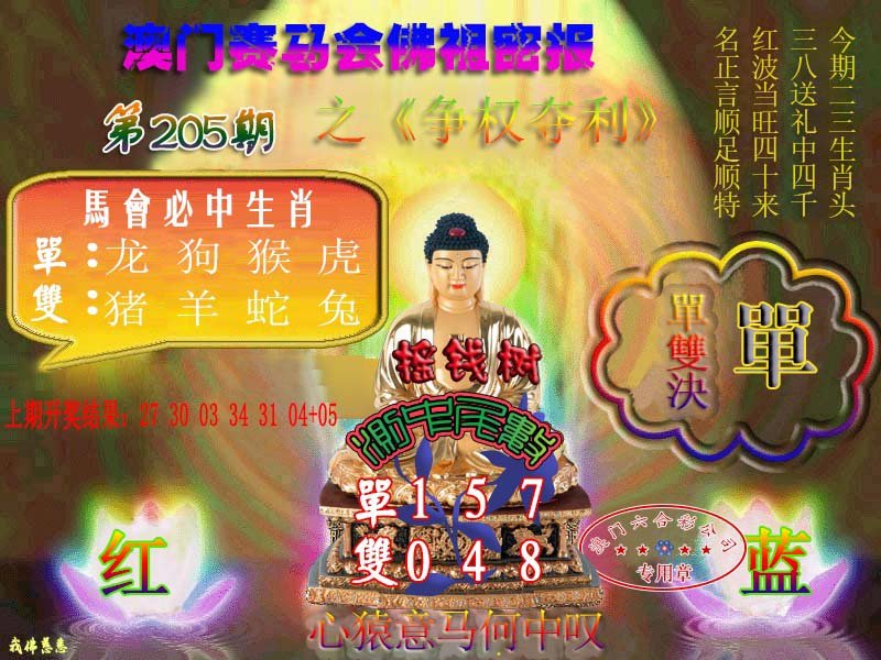 2024205期佛主密报-莲花双宝