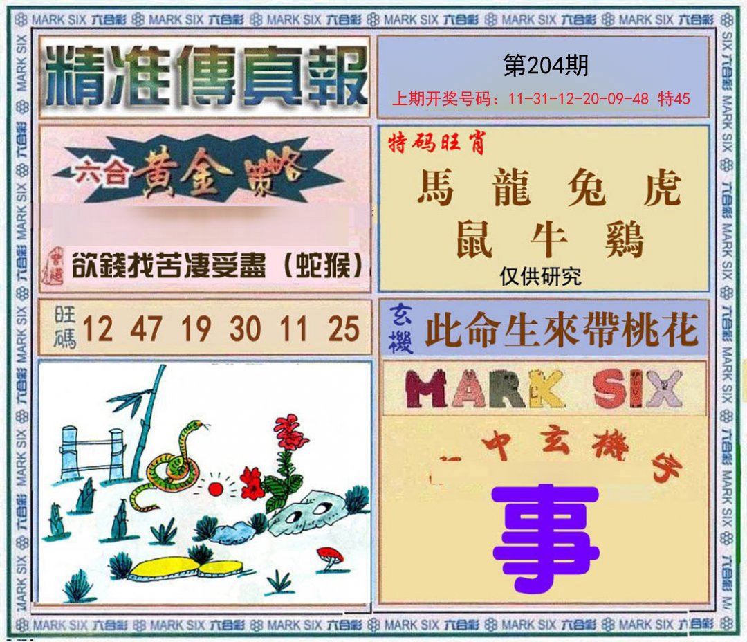 2024204期精准<傳真報>