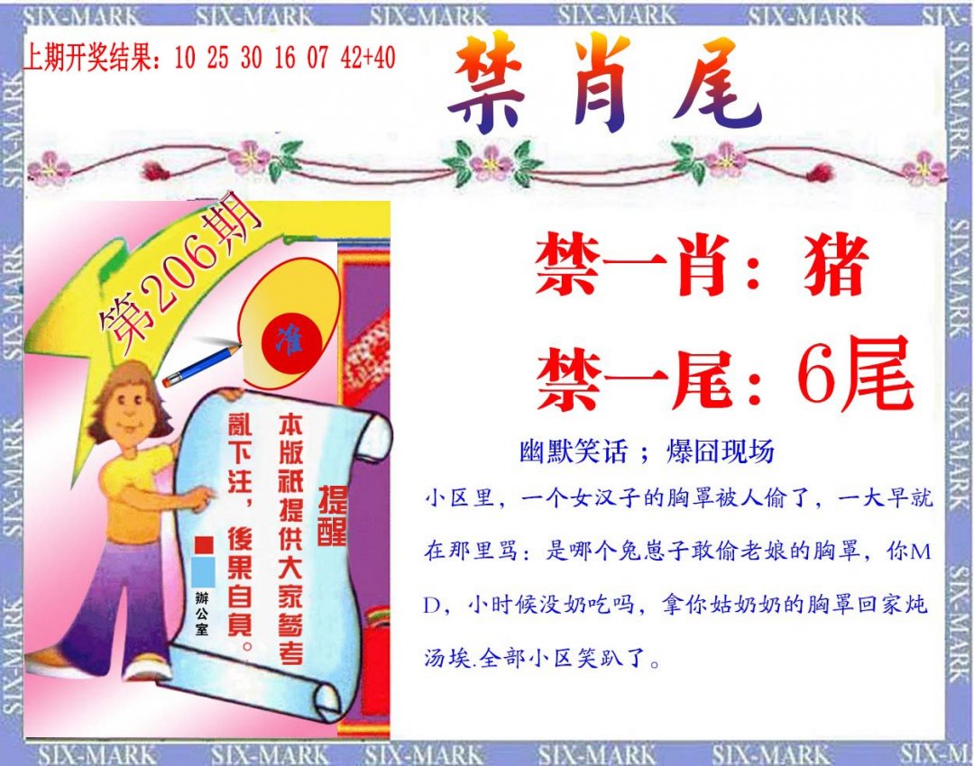 2024206期精准<禁肖尾>