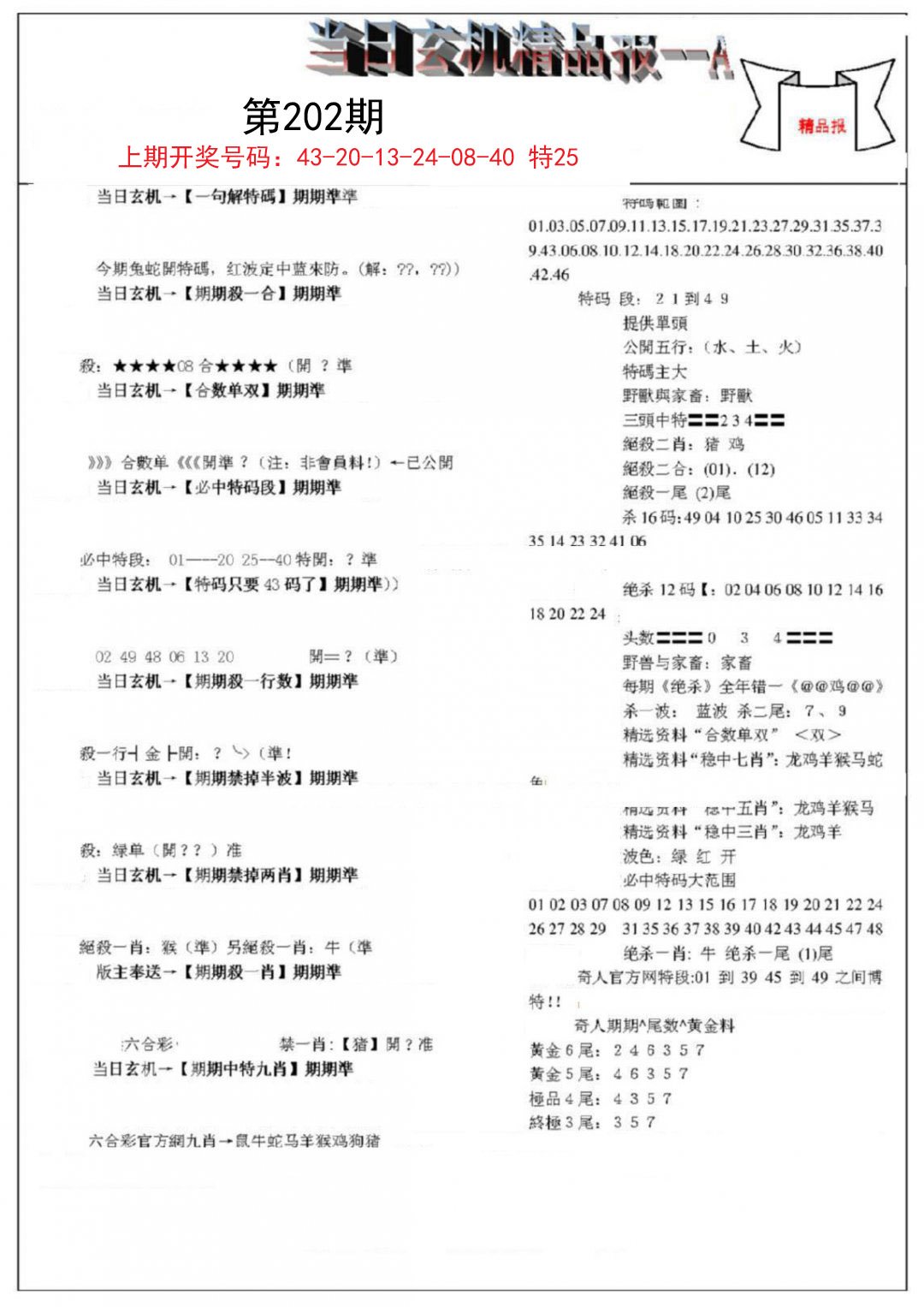 2024202期当日玄机精品报A