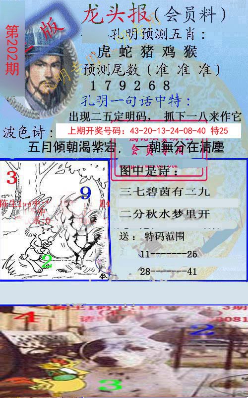 2024202期龙头报