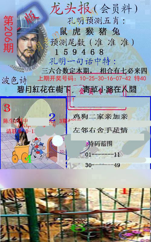 2024206期龙头报