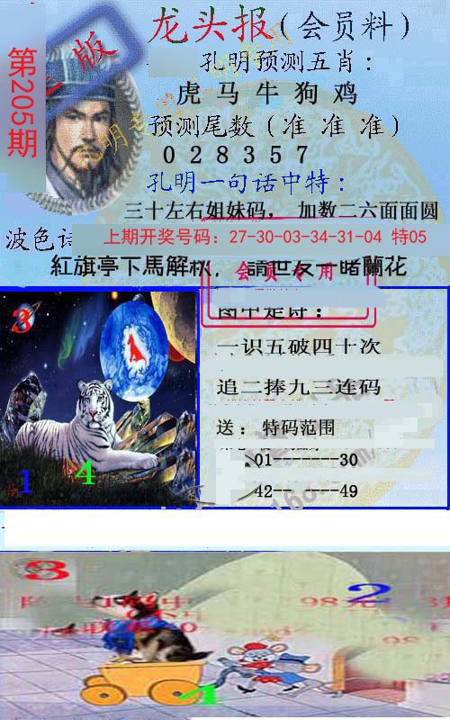 2024205期龙头报