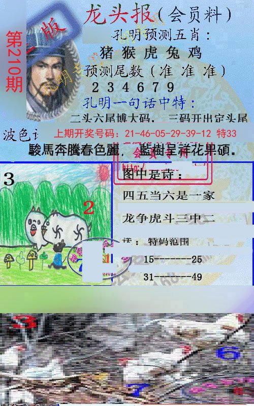 2024210期龙头报