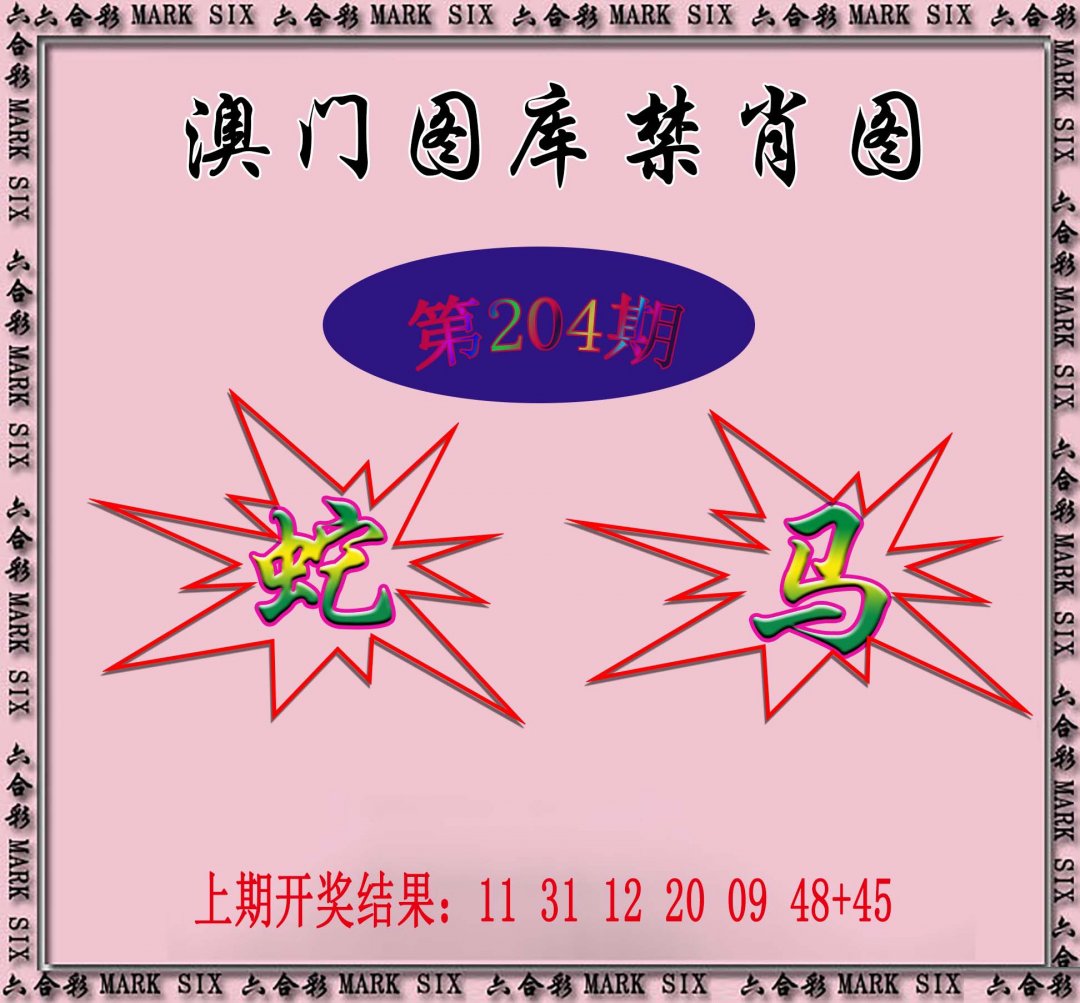 2024204期统一禁肖图