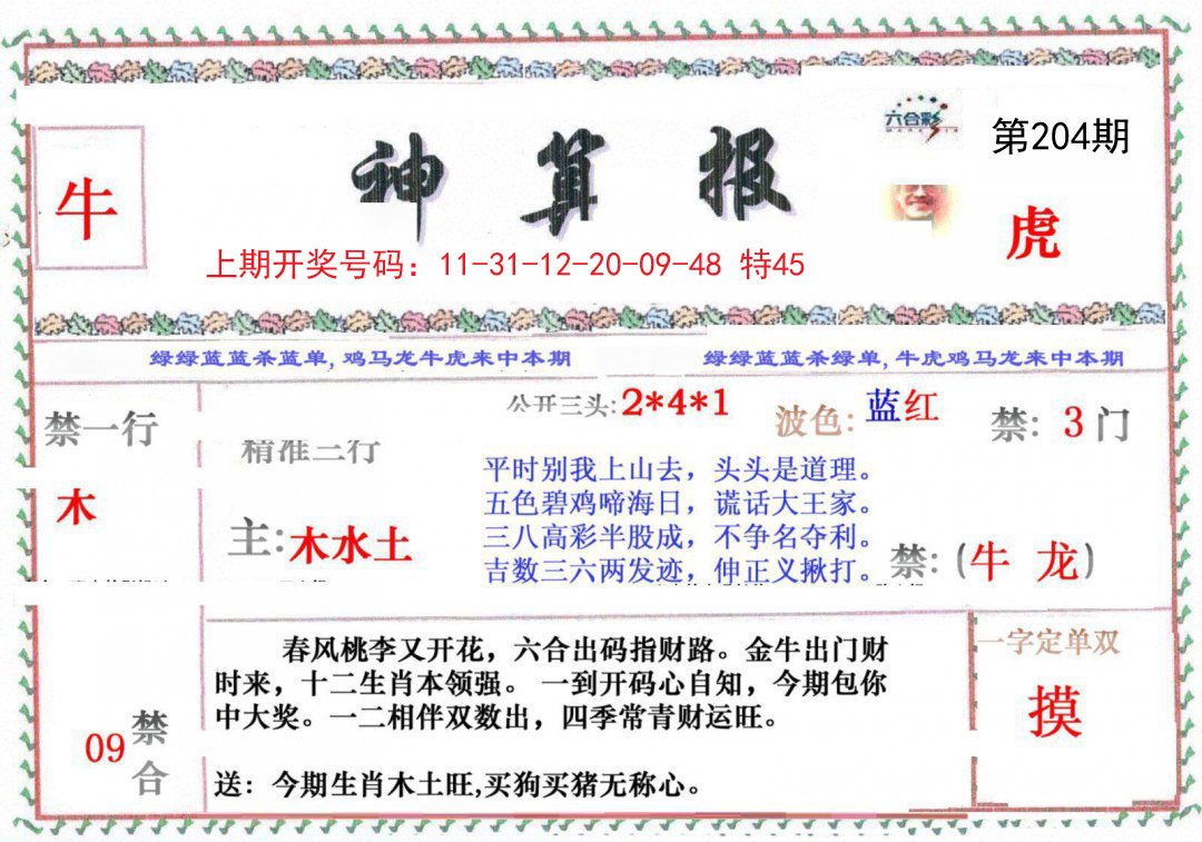2024204期神算报