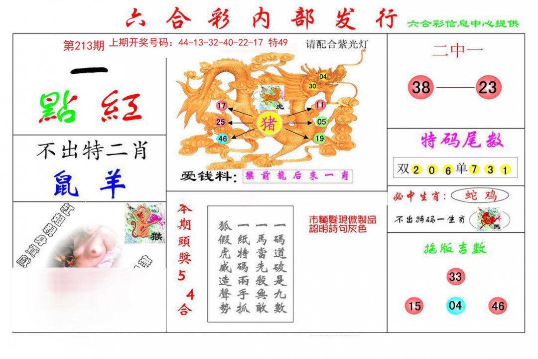 2024213期一点红