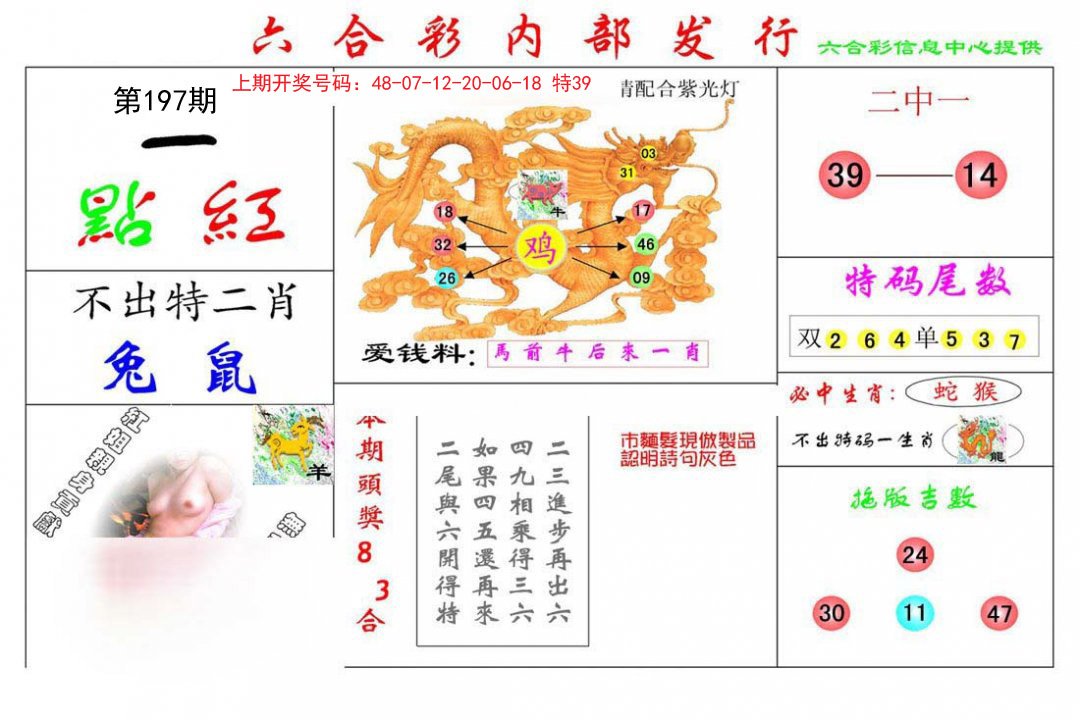 2024197期一点红