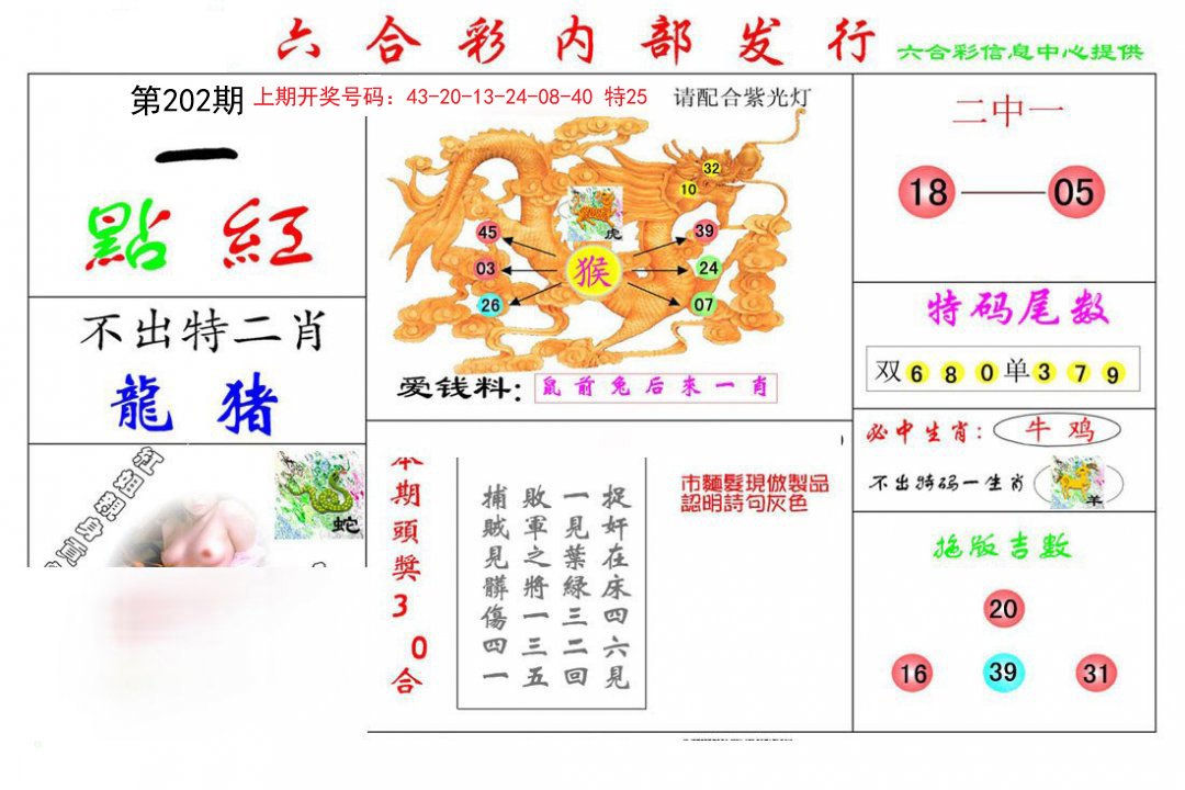2024202期一点红
