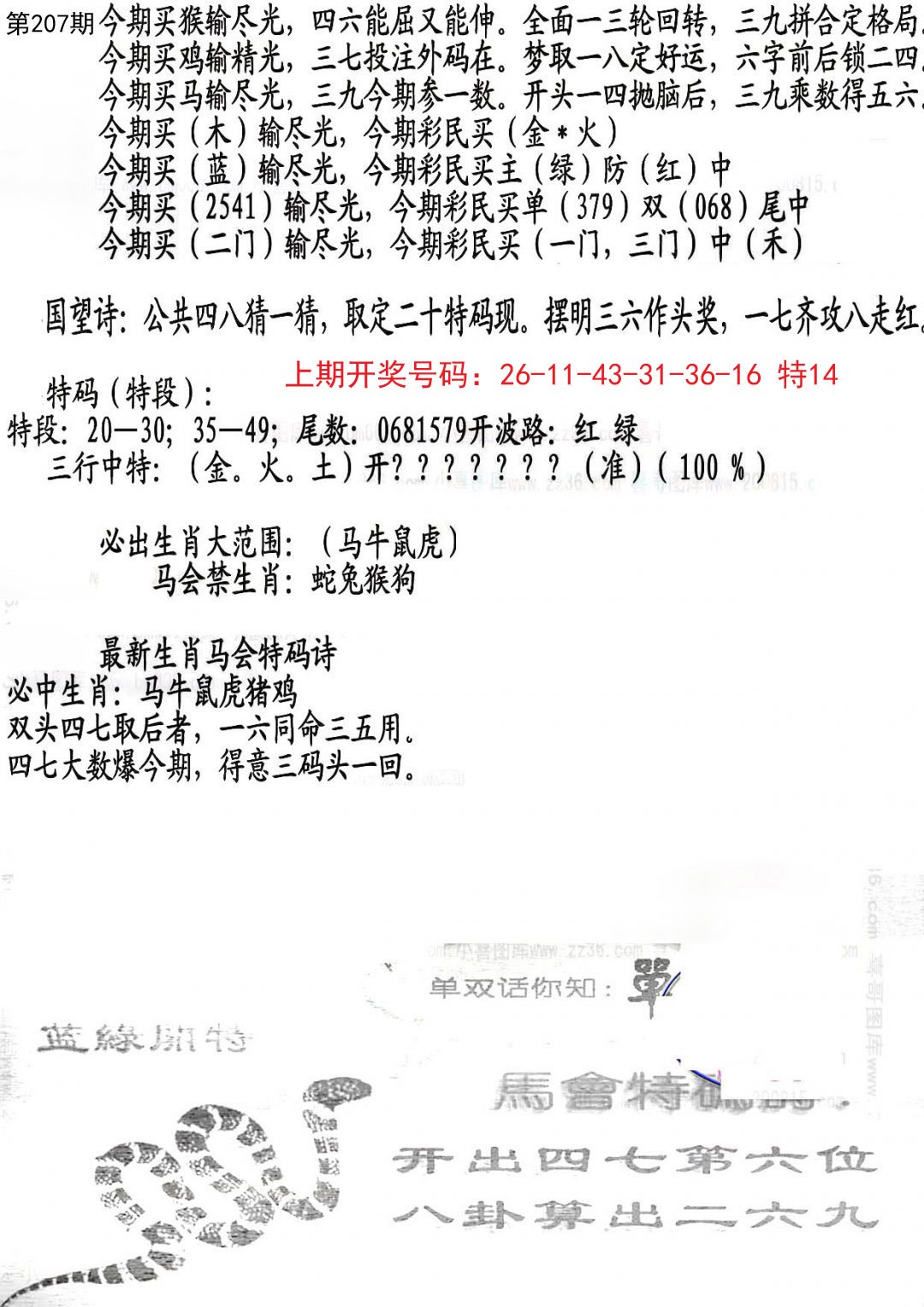 2024207期蛇报B