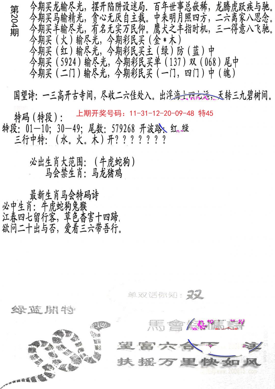 2024204期蛇报B