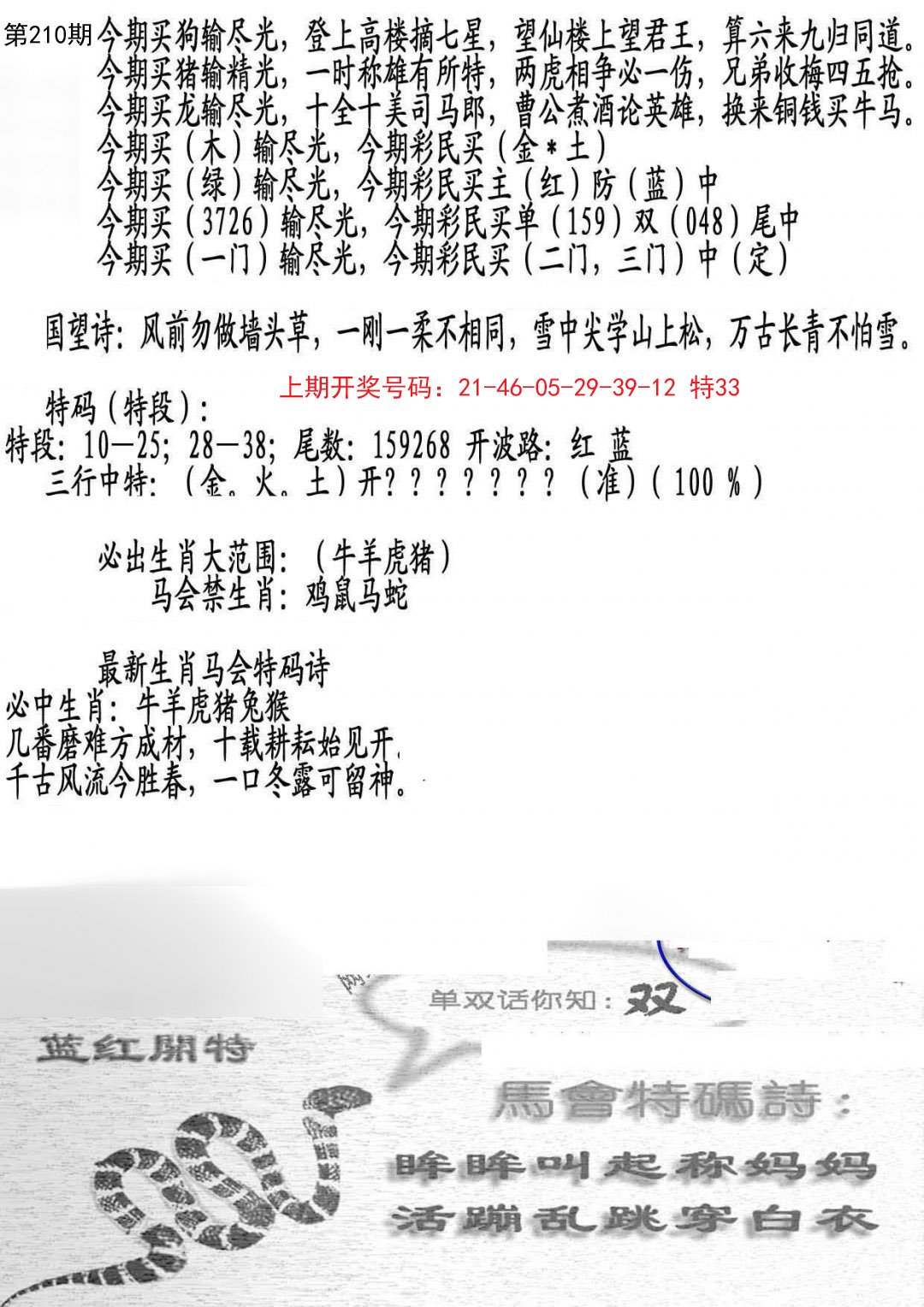2024210期蛇报B