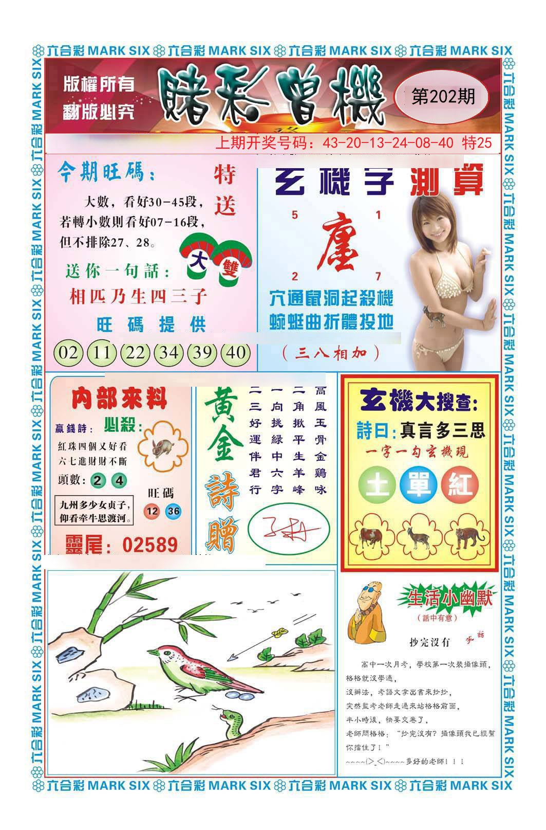2024202期赌彩曾机
