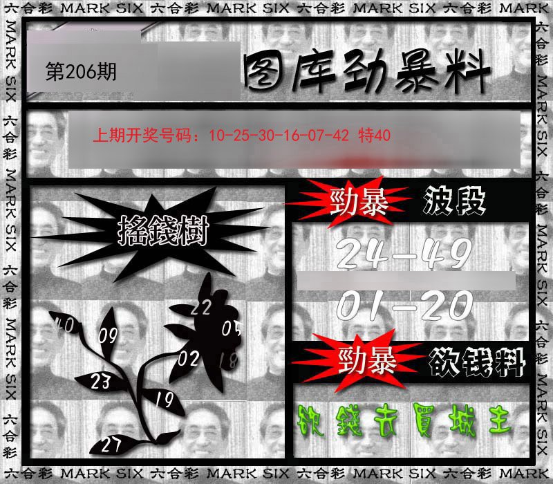 2024206期劲暴来料