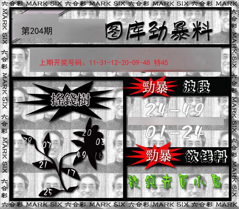 2024204期劲暴来料