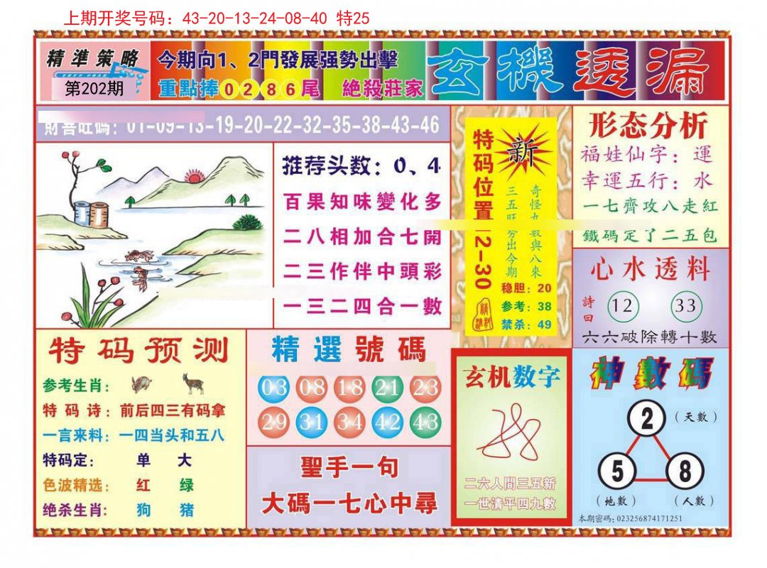 2024202期玄机透漏