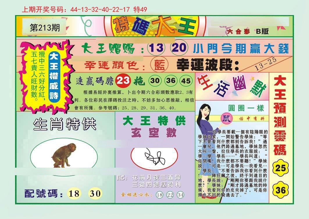 2024213期特码大王B