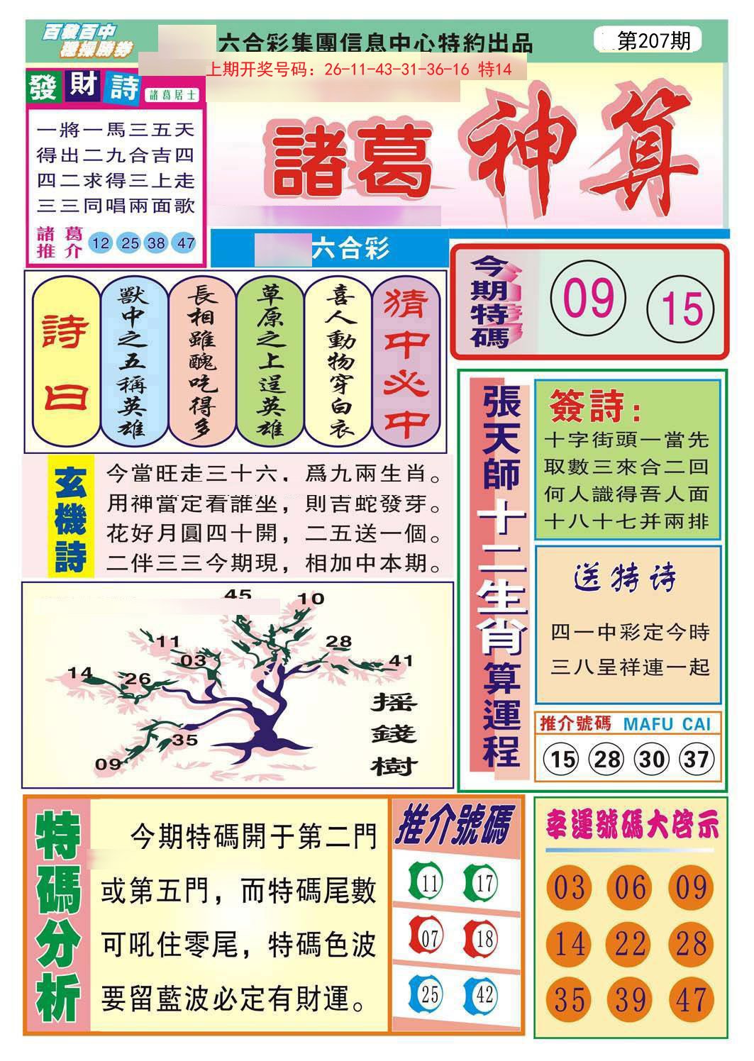 2024207期诸葛神算