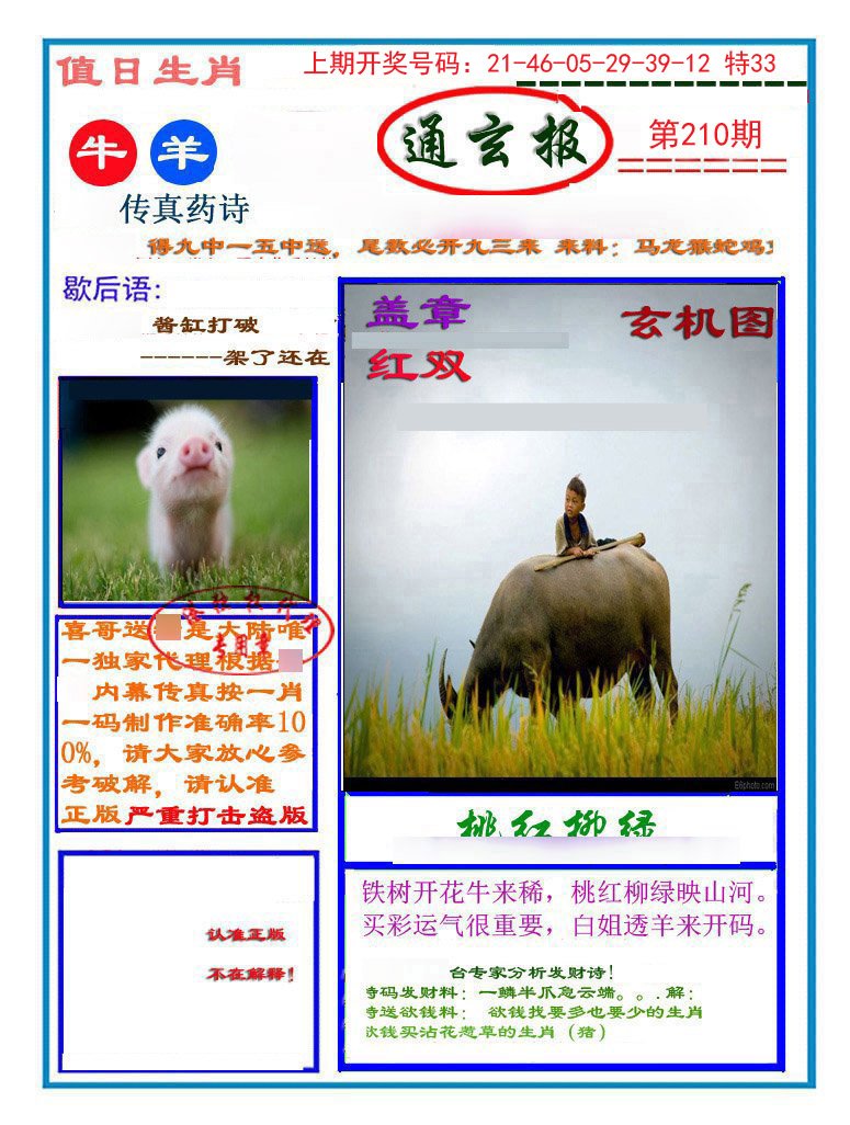 2024210期通玄报