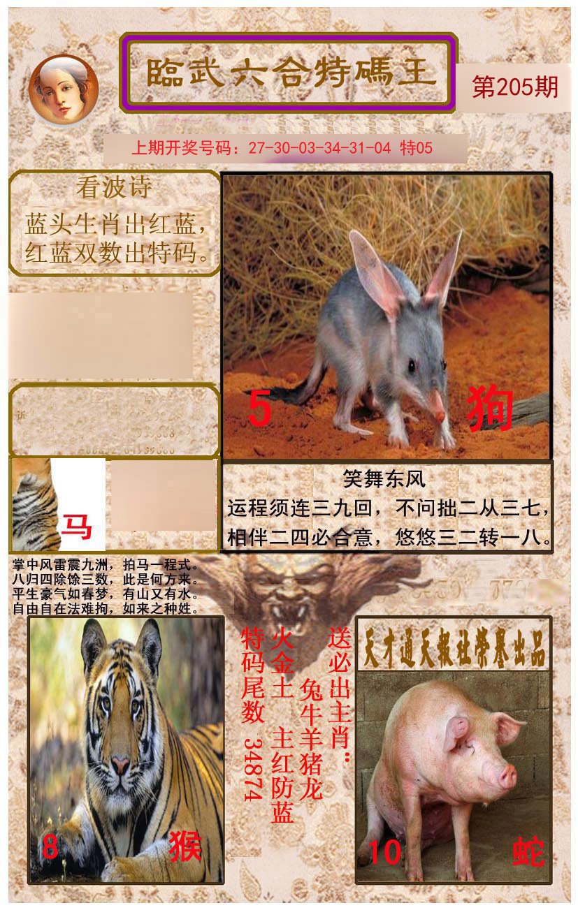 2024205期临武六合特码王