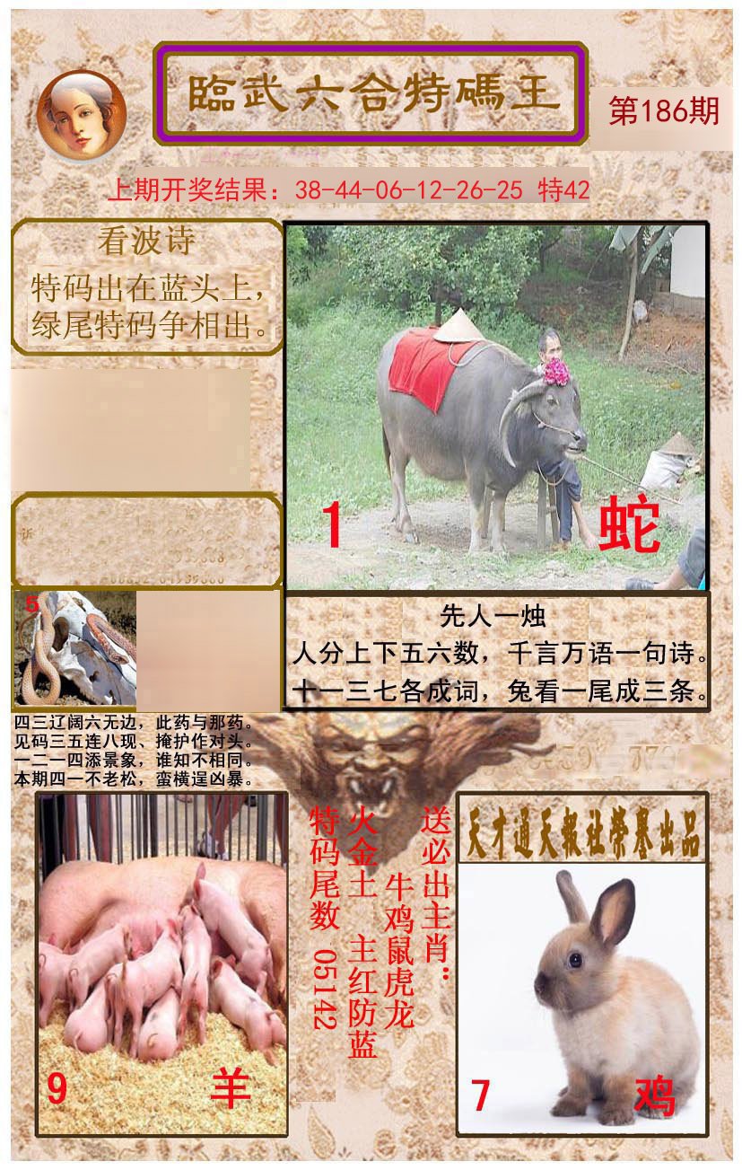 2024186期临武六合特码王