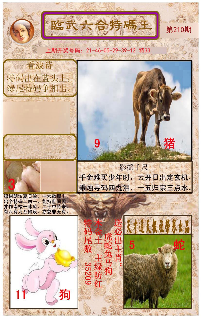 2024210期临武六合特码王