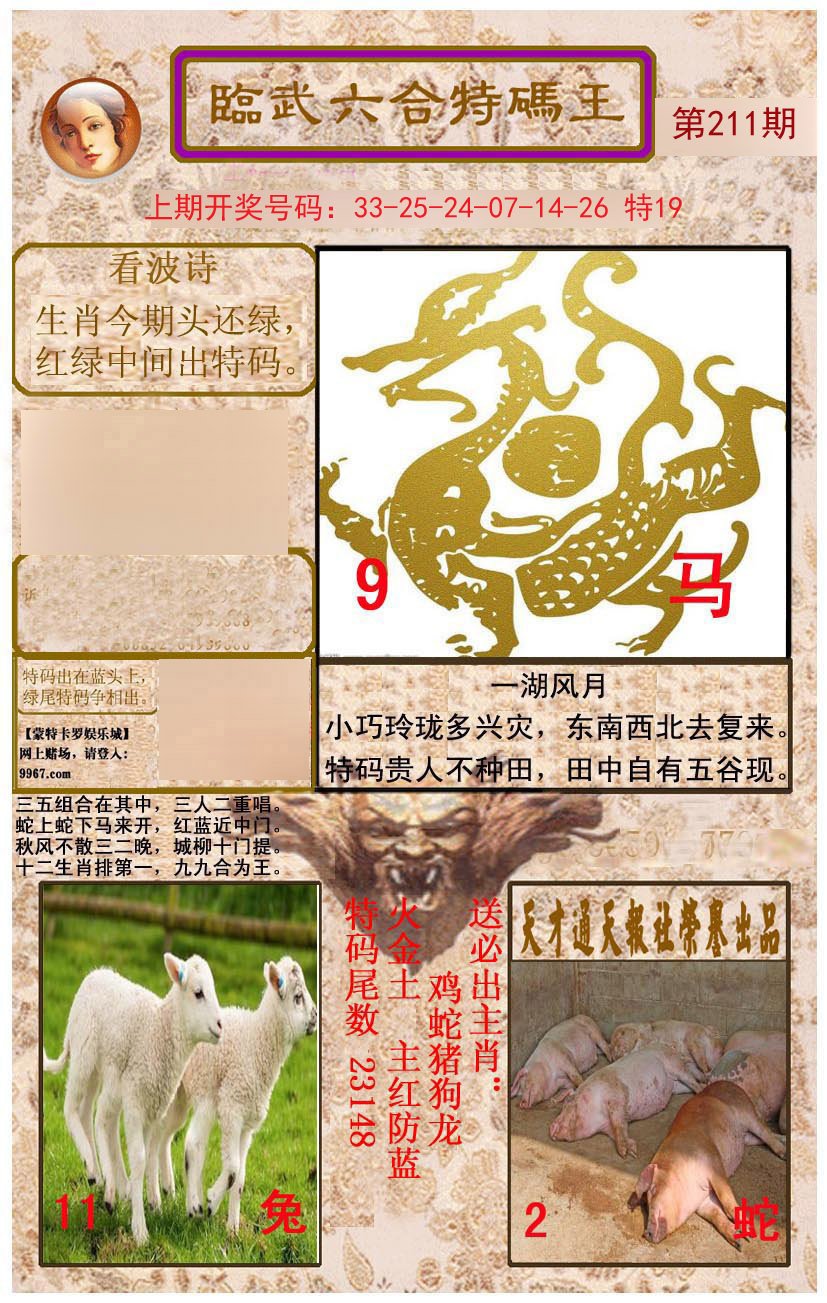 2024211期临武六合特码王