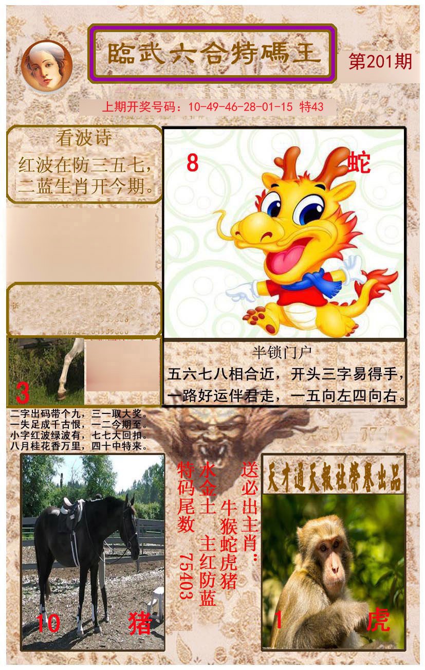 2024201期临武六合特码王