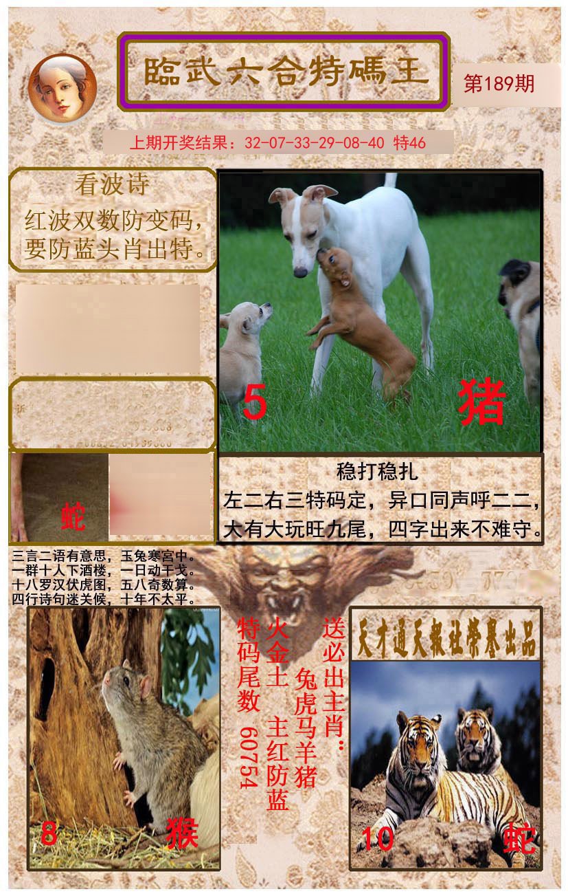 2024189期临武六合特码王
