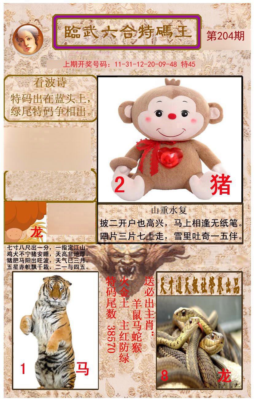 2024204期临武六合特码王