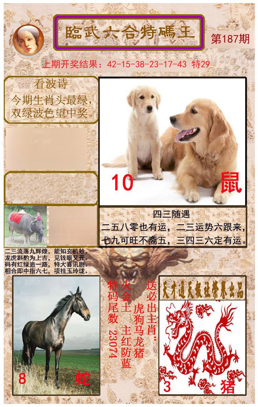 2024187期临武六合特码王