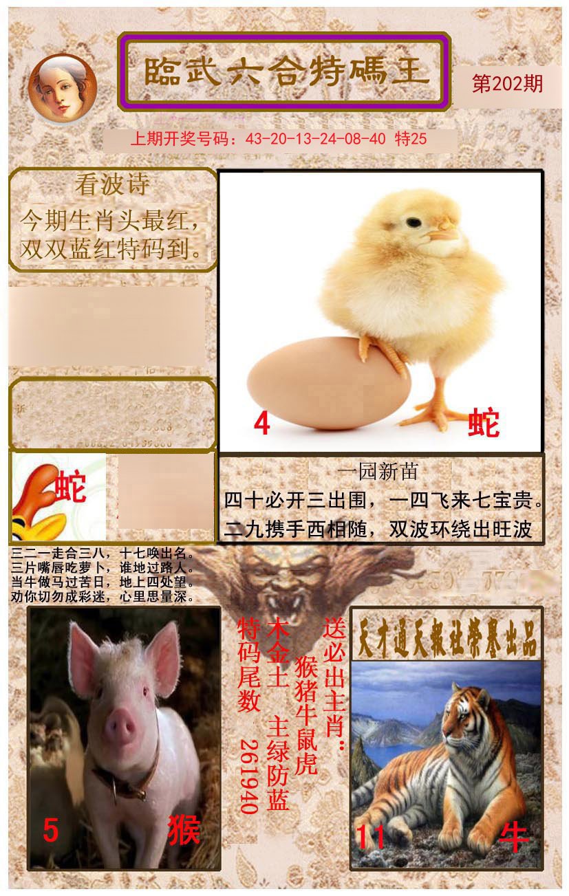 2024202期临武六合特码王