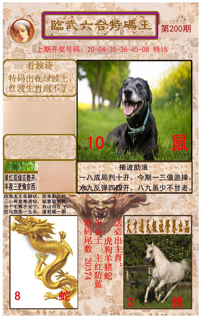 2024200期临武六合特码王