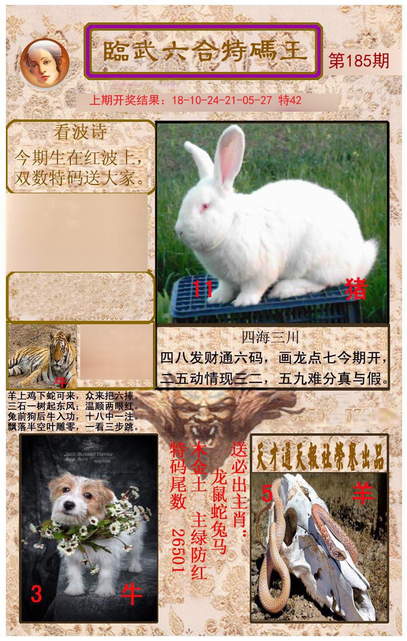 2024185期临武六合特码王