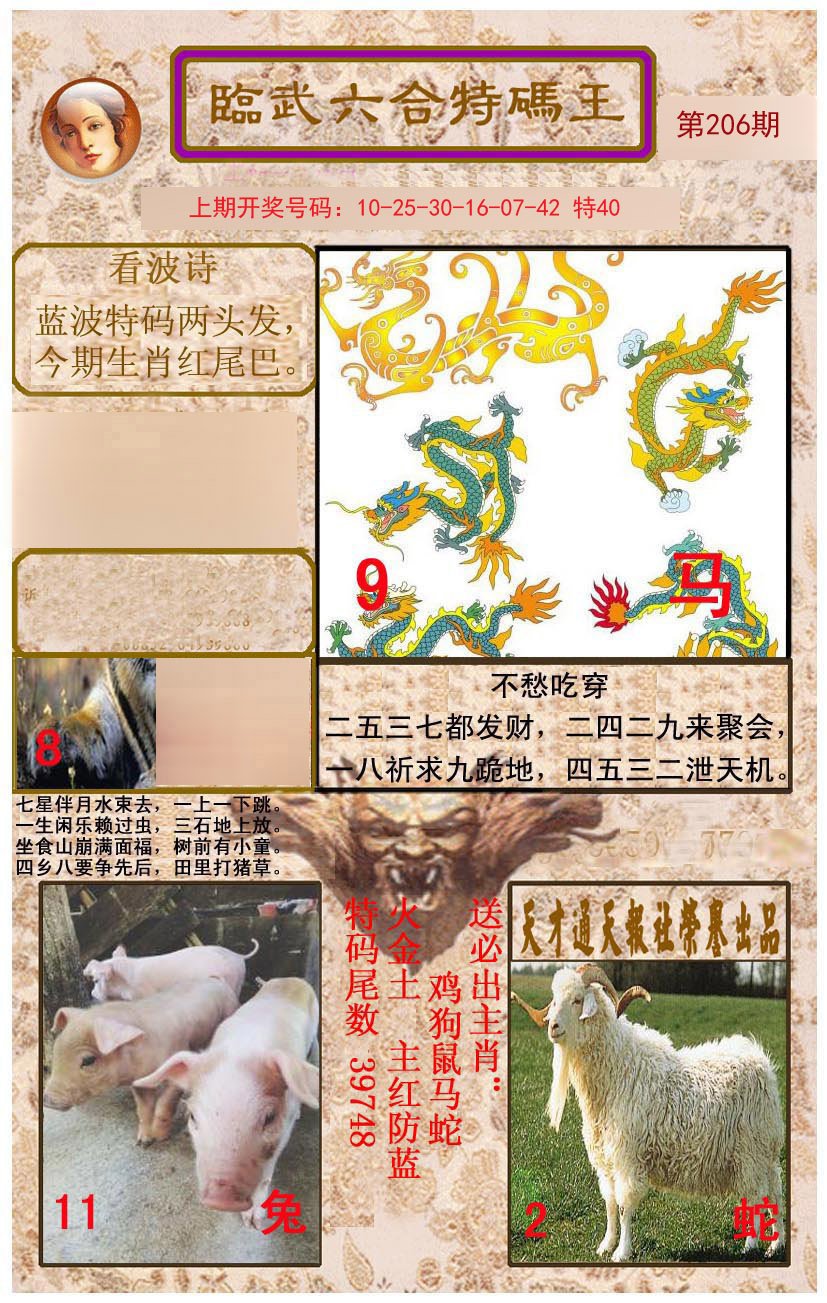 2024206期临武六合特码王