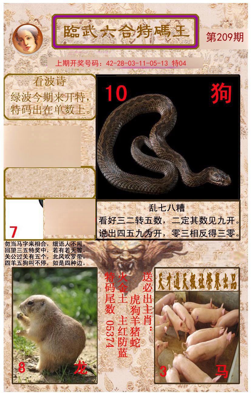 2024209期临武六合特码王