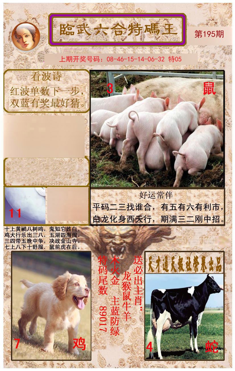 2024195期临武六合特码王