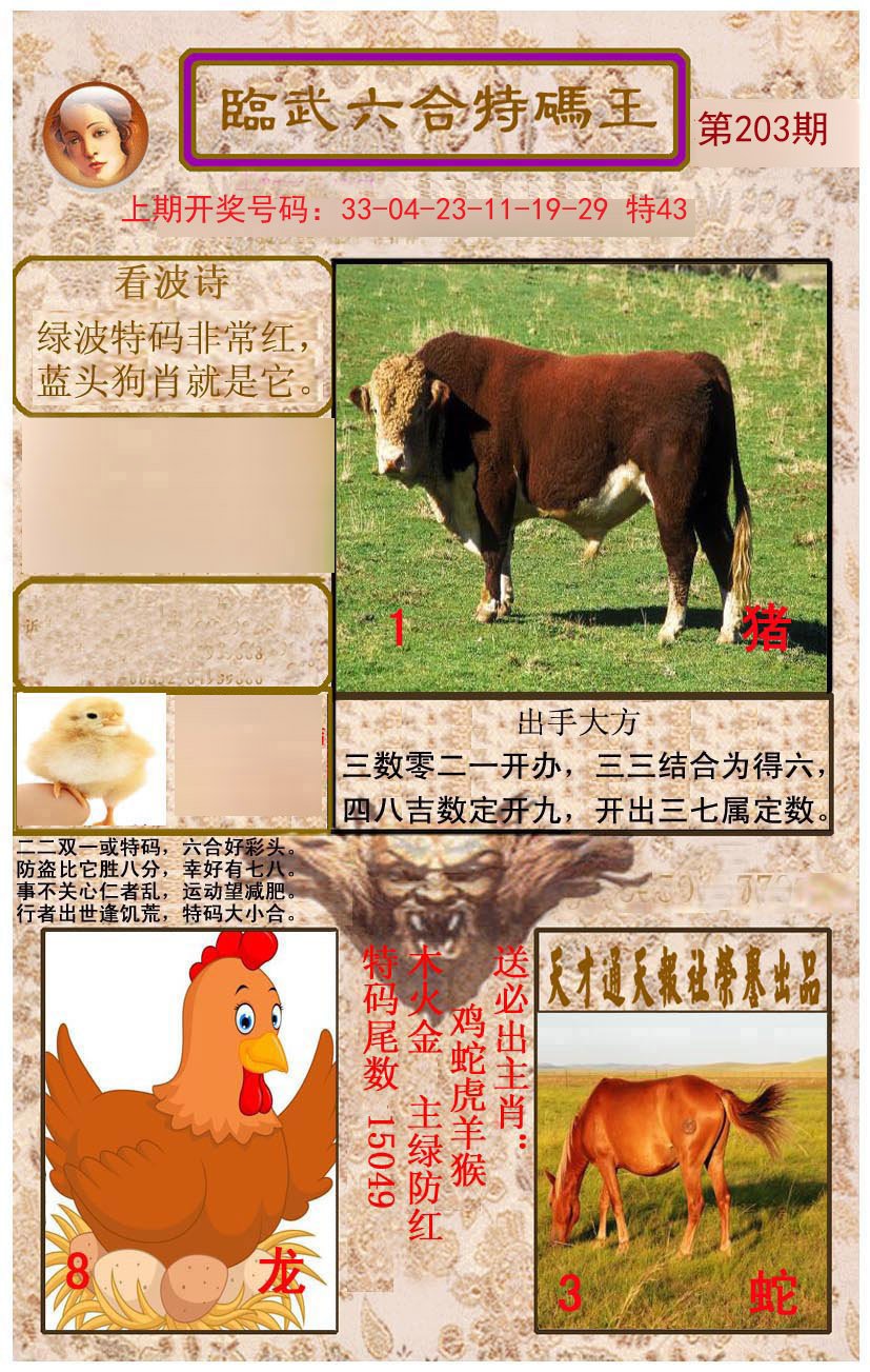 2024203期临武六合特码王