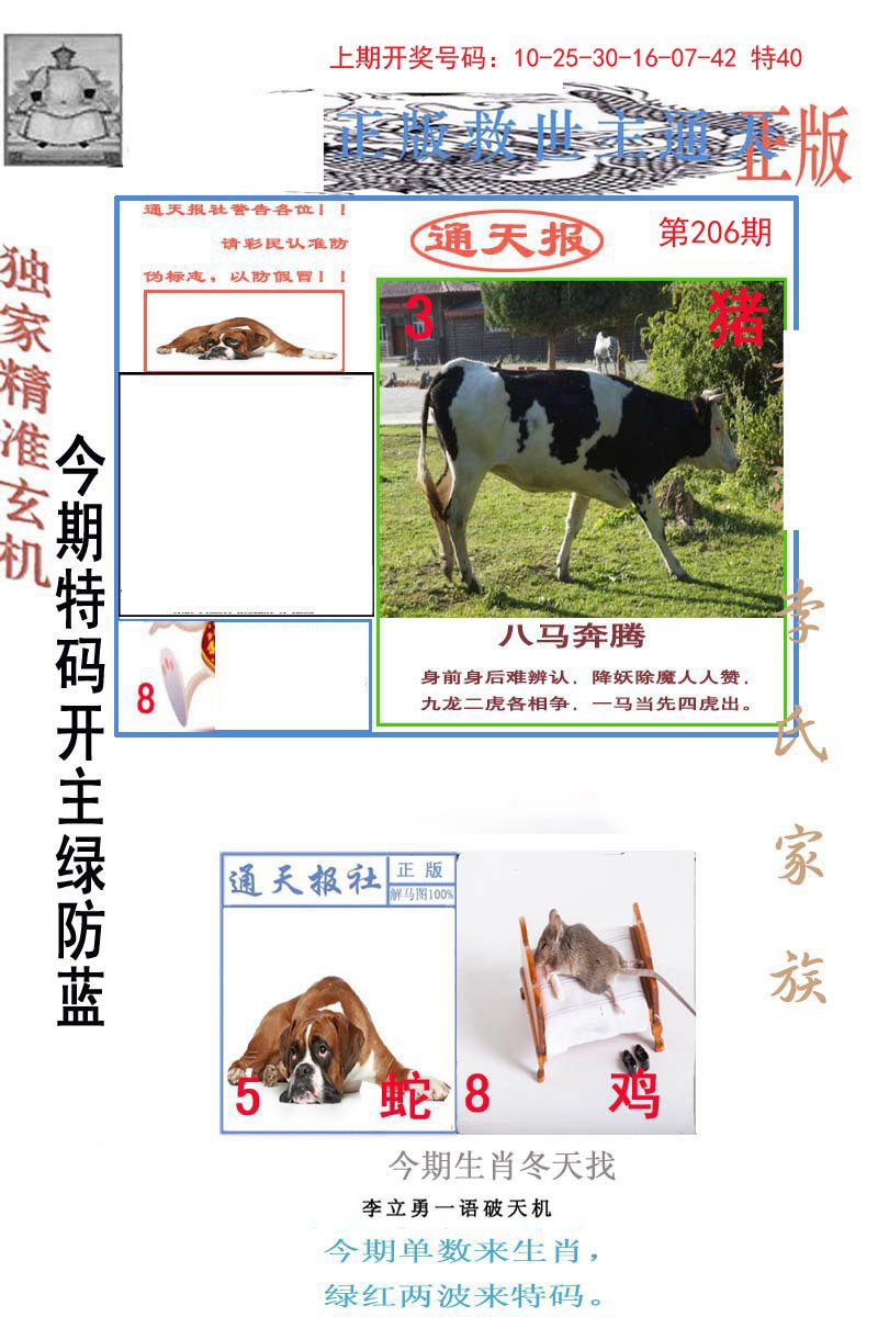 2024206期李力勇通天报
