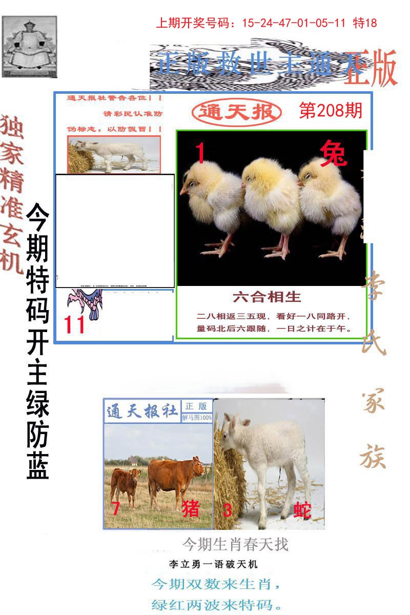 2024208期李力勇通天报