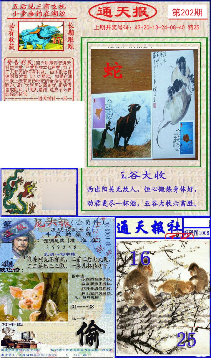 2024202期实力通天报