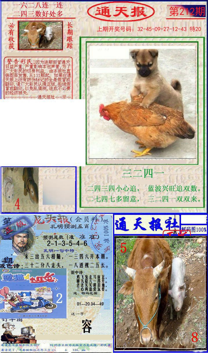 2024212期实力通天报