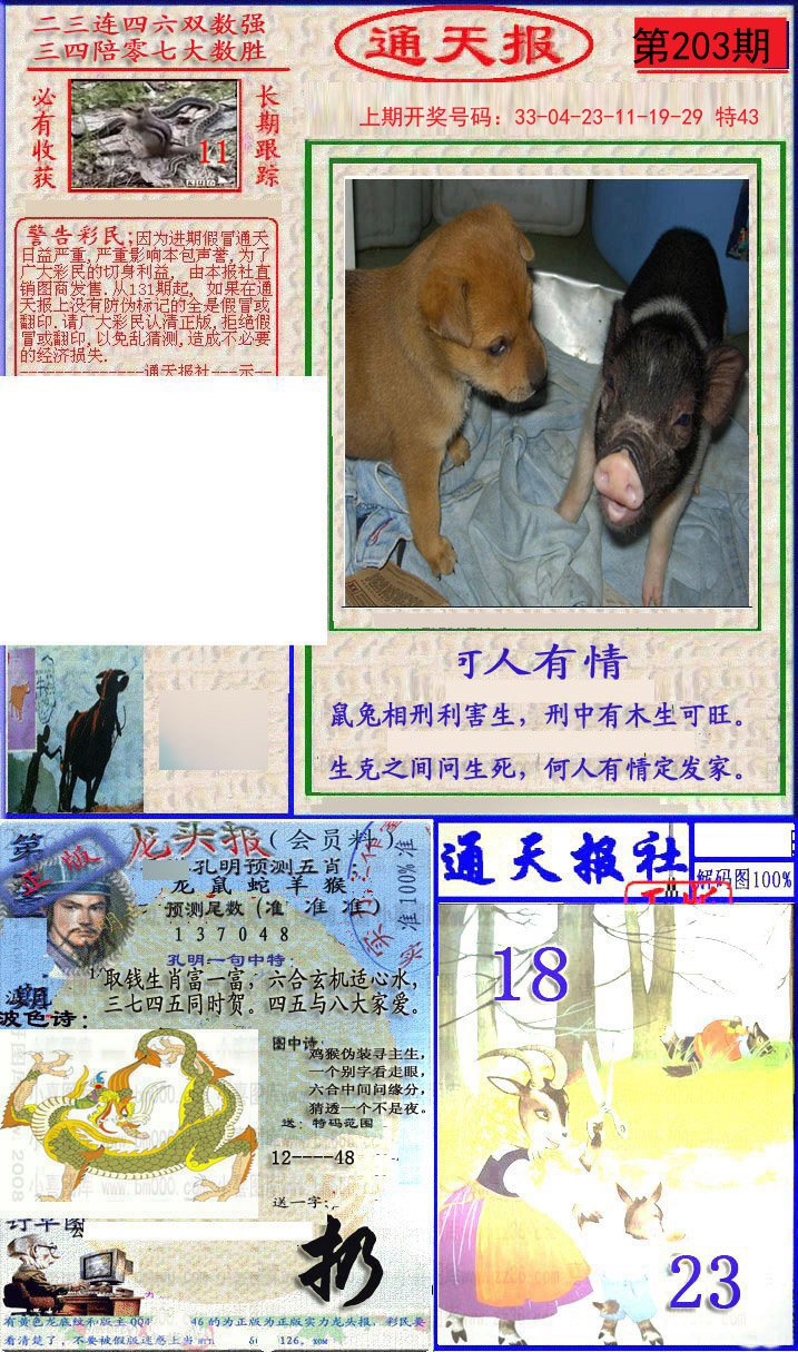 2024203期实力通天报