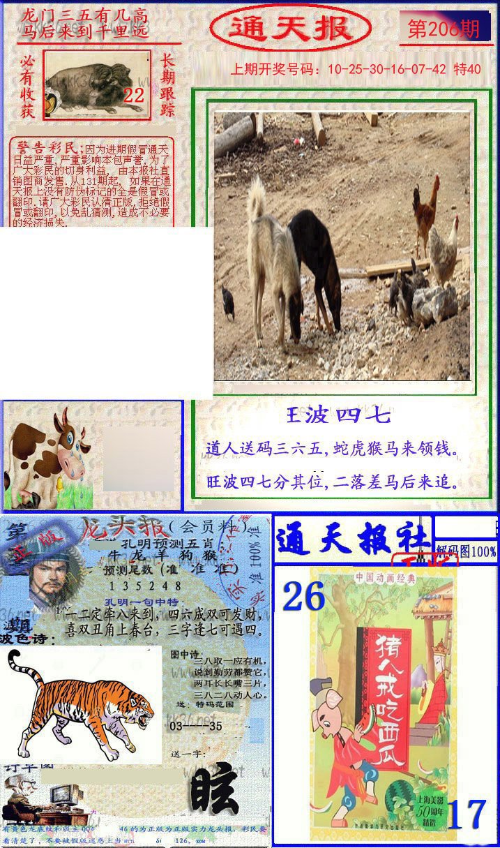 2024206期实力通天报