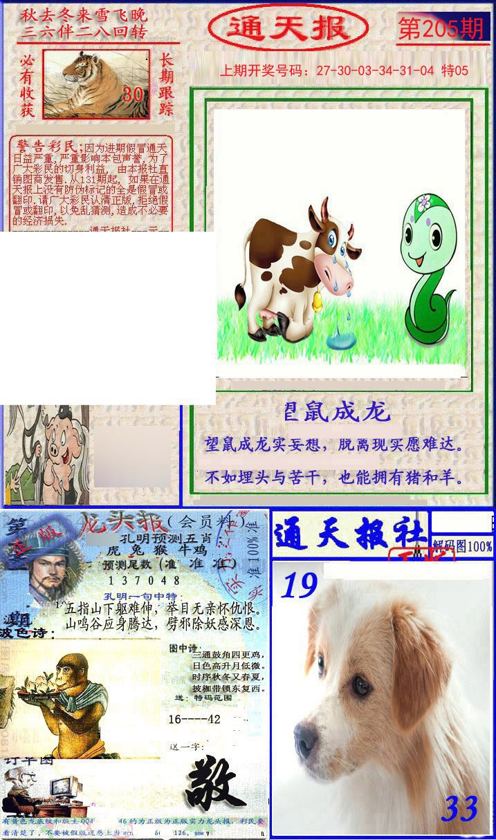 2024205期实力通天报