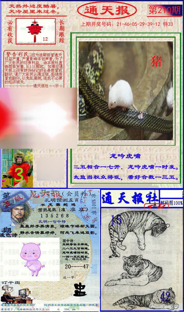 2024210期实力通天报